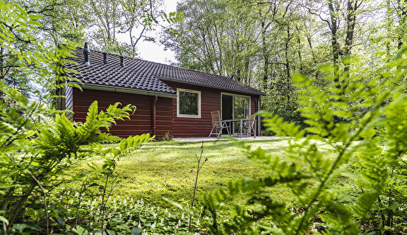 Bungalow type B XL