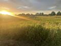 Natuur Lanka 