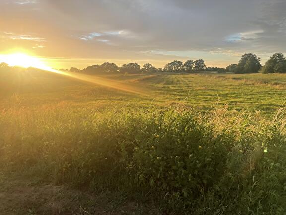 Natuur Lanka 