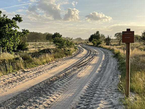Dwingelderveld 